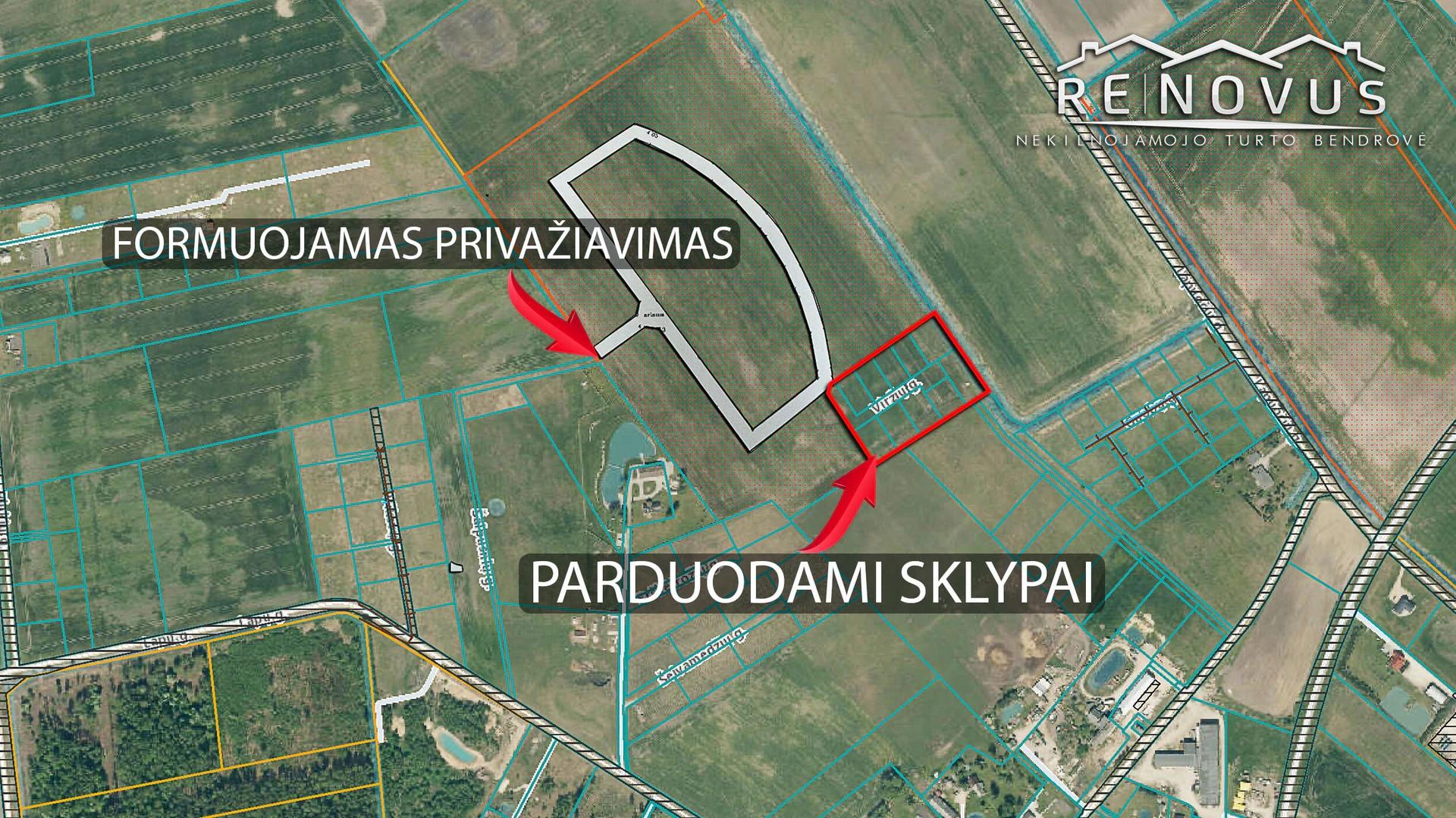 Šlapšilė, Viržių g. 2 - galerijos nuotrauka 2